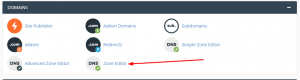 Zone Editor - Point domain to Weebly